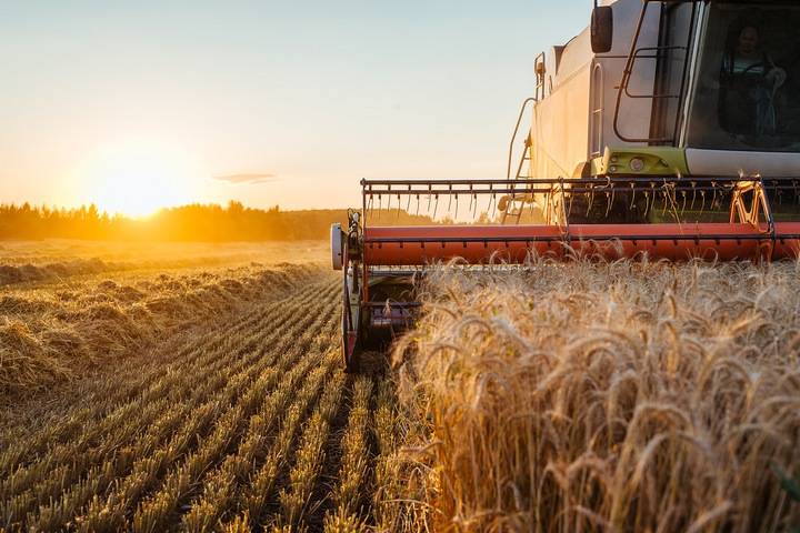 6 Pros and Cons of Grain Farming